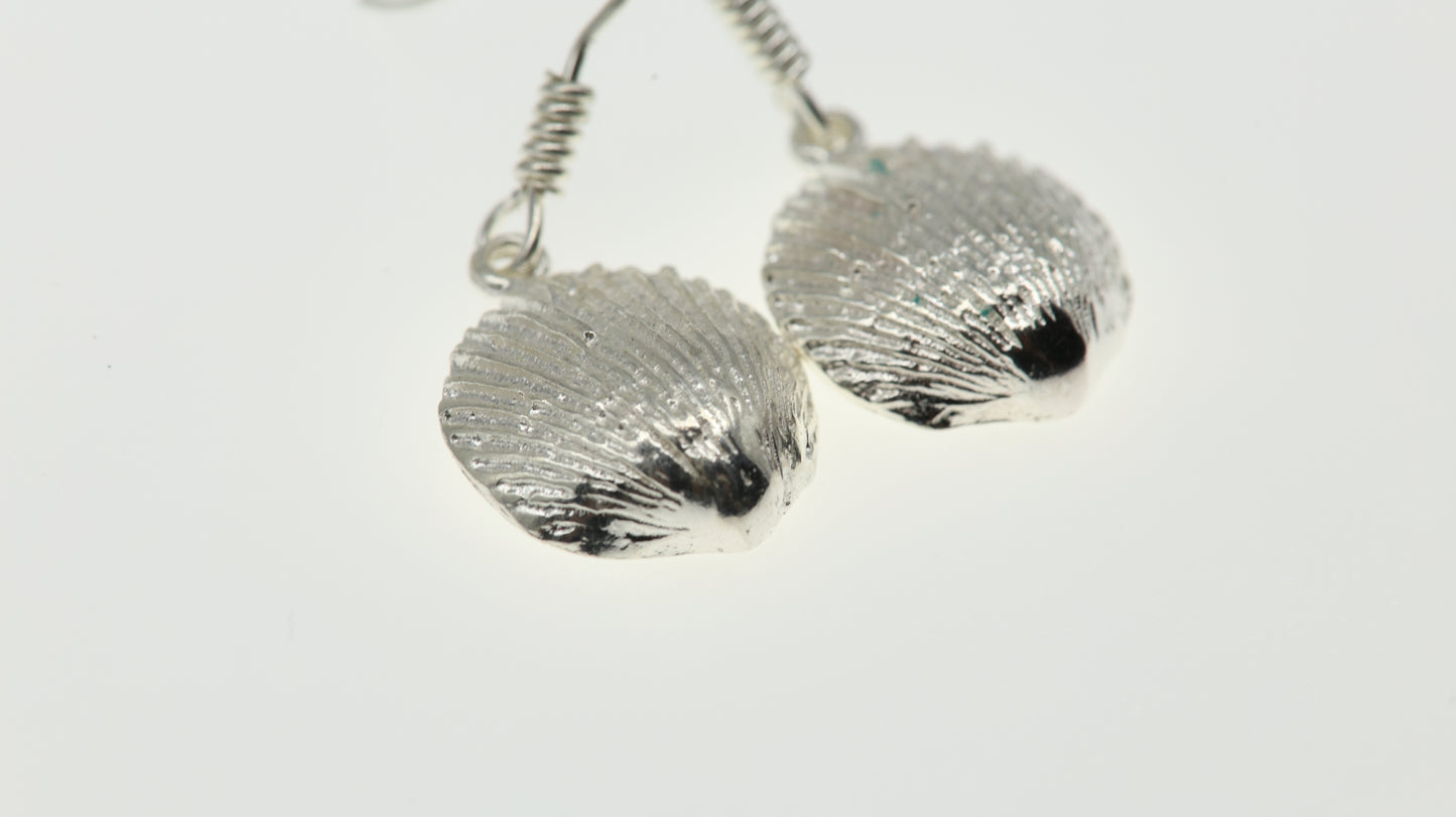 Aretes Plata .925 Concha - Modelo 1 - Mayoreo y Menudeo