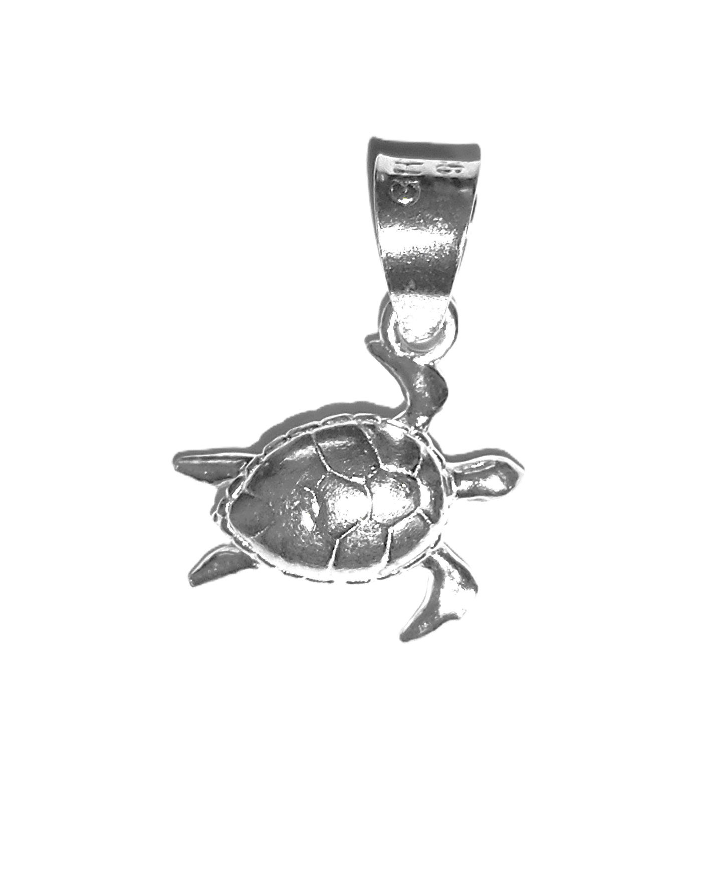 Dije de Plata .925 - Tortuga Marina Tridimensional con Caparazón de Escamas