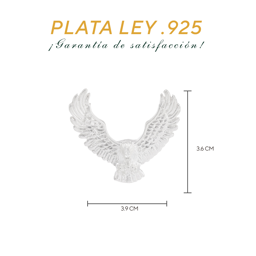 Set de Dije y Cadena de Plata - Águila con Alas Extendidas con Cadena Fígaro .925(COM.DA055)