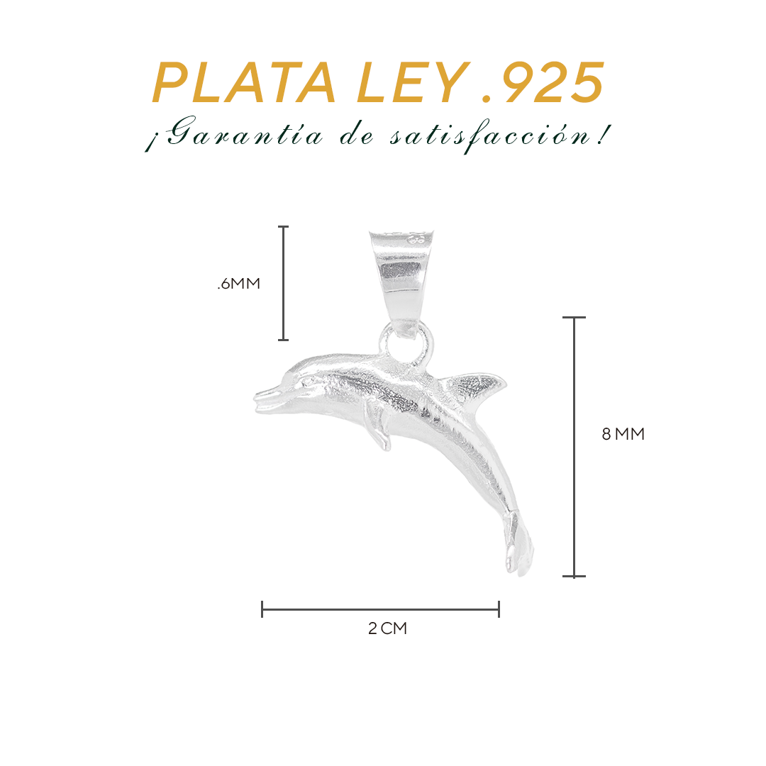 Set de Dije y Cadena de Plata - Delfín Pequeño con Cadena Fígaro .925