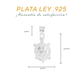 Dije de Plata  ley .925 en Diseño de  Tortuga (DM036) - Joyería Marina