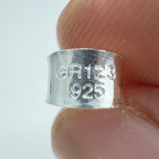 Dije Pentagrama Plata 925 - Joyería Mística Auténtica