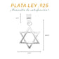 Medidas del dije Estrella de David: 2.8 cm alto × 2 cm ancho, argolla 1 cm – Plata Ley .925
