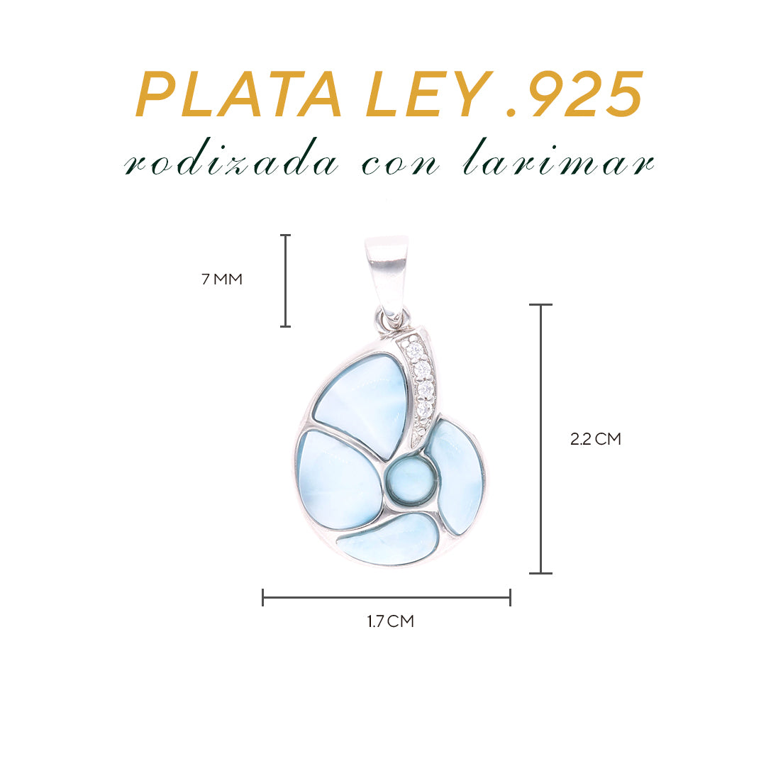 Dije Concha marina de Larimar en Plata .925
