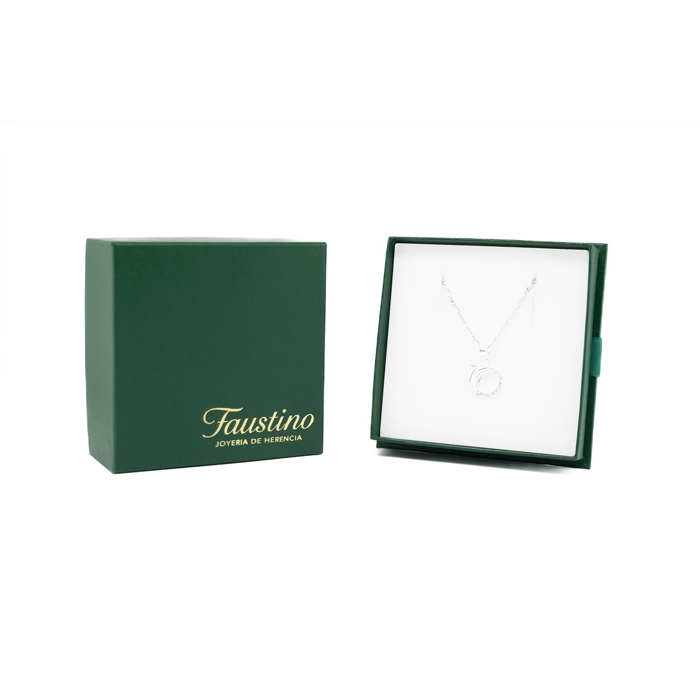 Set de Dije y Cadena de Plata - Delfín de Riviera Maya con Cadena Fígaro .925COM.DM010)