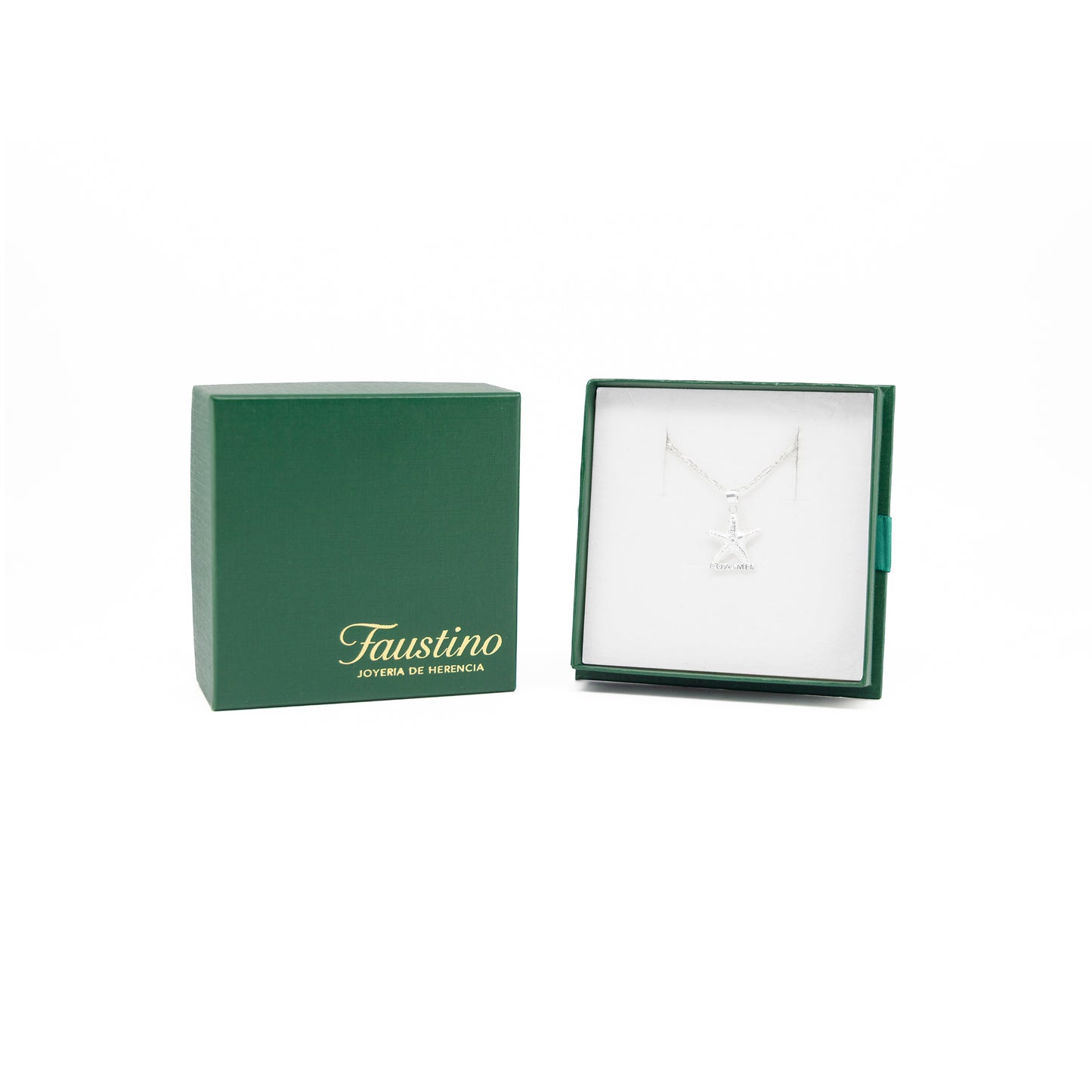 Set de Dije y Cadena de Plata - Estrella de Mar de Cozumel con Cadena Fígaro .925