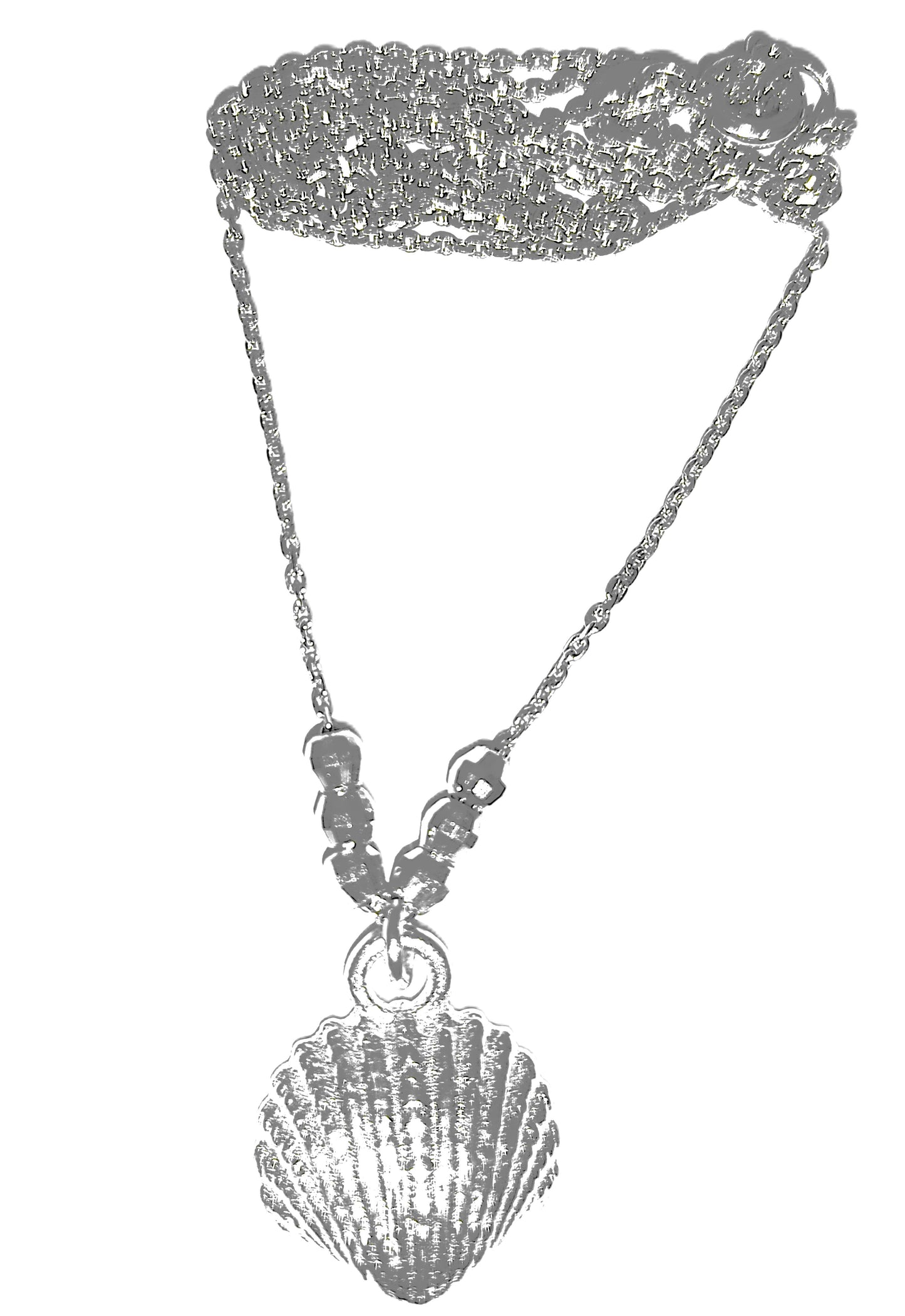 Collar de Plata .925 - Cadena Rolo con Dije Concha de Vieira Tridimensional y Costillas Radiales