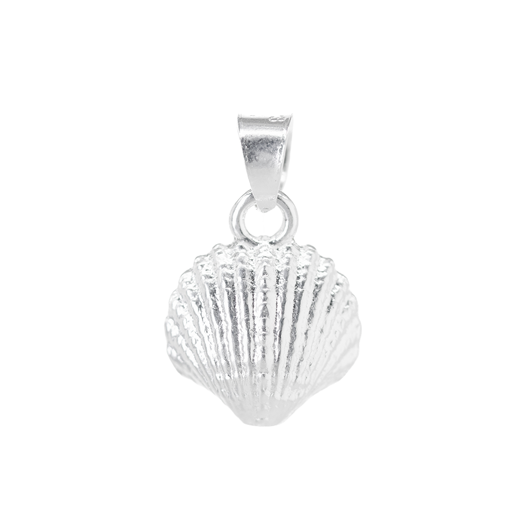 Set de Dije y Cadena de Plata - Concha Marina con Cadena Fígaro .925(COM.DM038)
